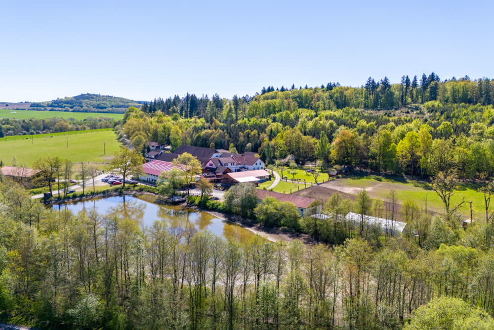 Teich und Areal von oben