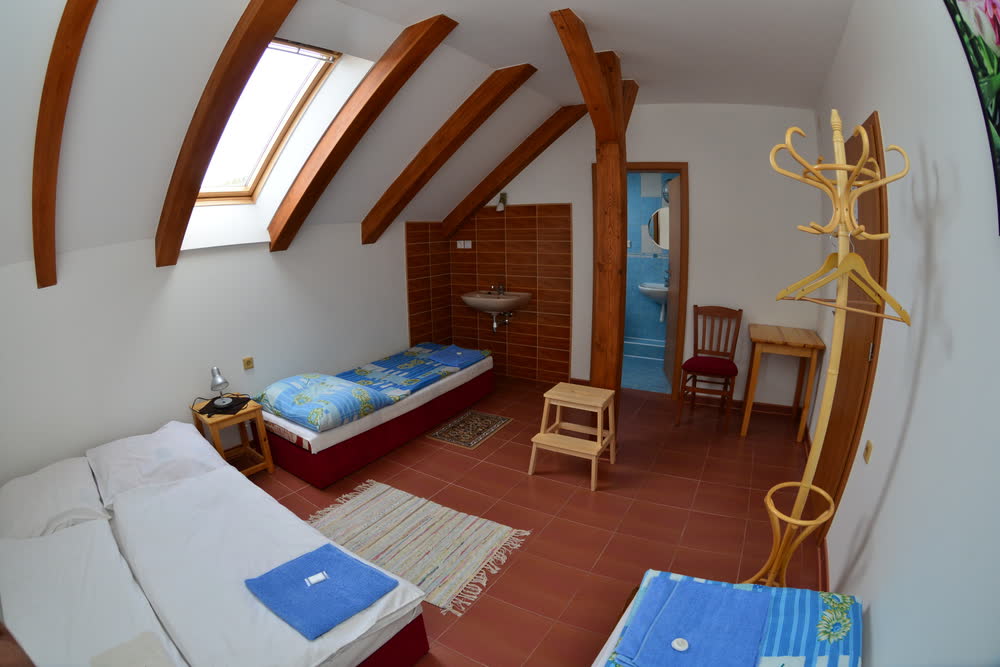 Dachzimmer mit sichtbarem Gebälk